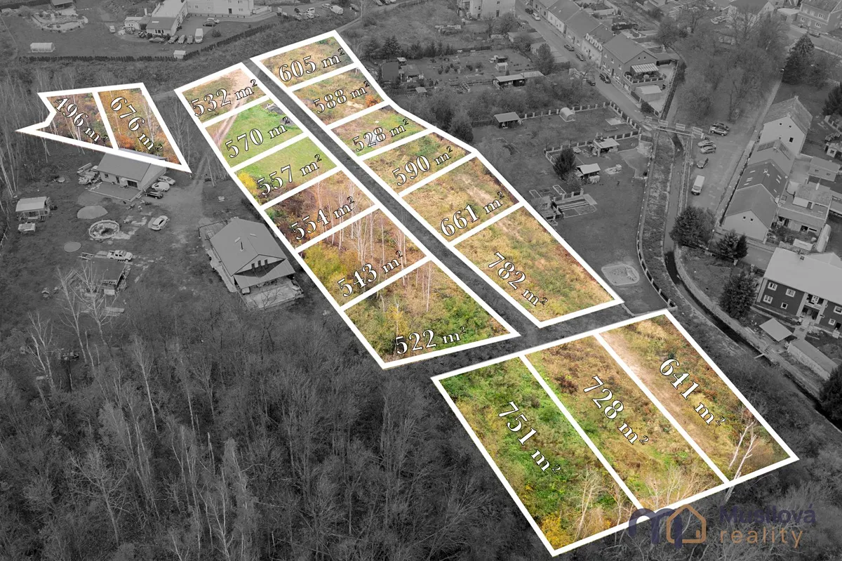 Fotka 6 z 6